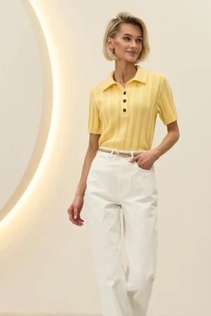 2964_lemon_1
