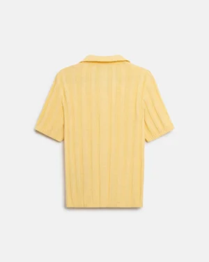 2964_lemon_10