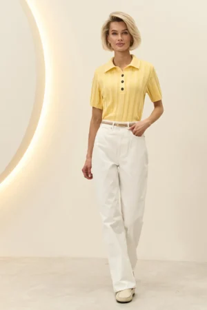 2964_lemon_2