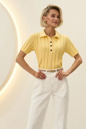 2964_lemon_3