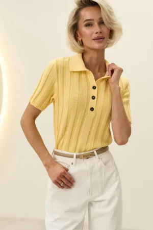 2964_lemon_4