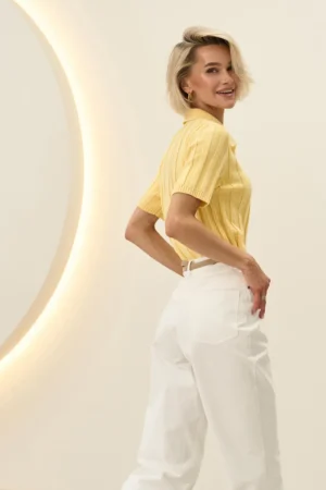 2964_lemon_7