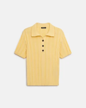 2964_lemon_8