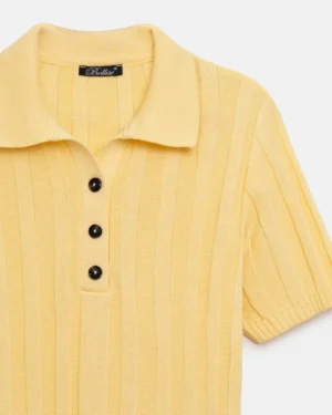 2964_lemon_9