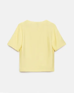 3094_lemon_10