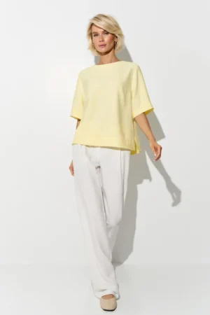 3094_lemon_2