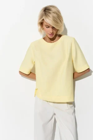 3094_lemon_4