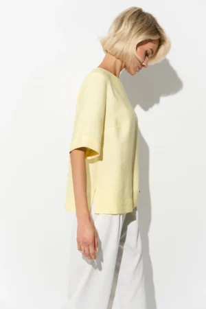 3094_lemon_6