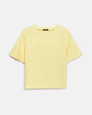 3094_lemon_8