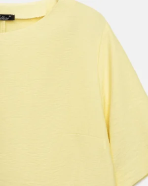 3094_lemon_9